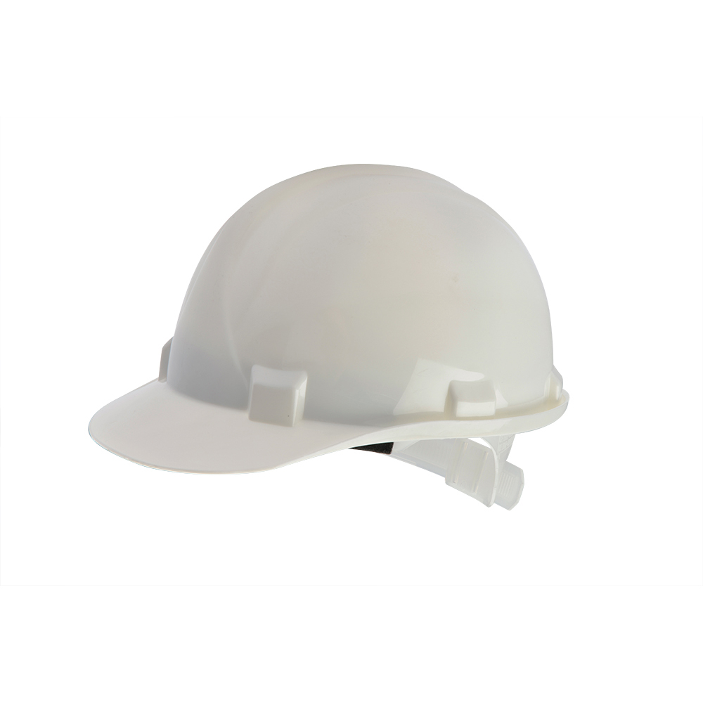 Delmar Safety - Safety Helmet